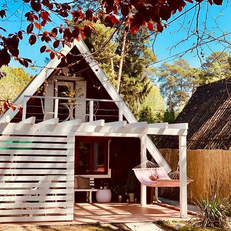 Nadi's Holiday Home – Heart of Woods, Szentendre Island Szigetmonostor Buitenkant foto