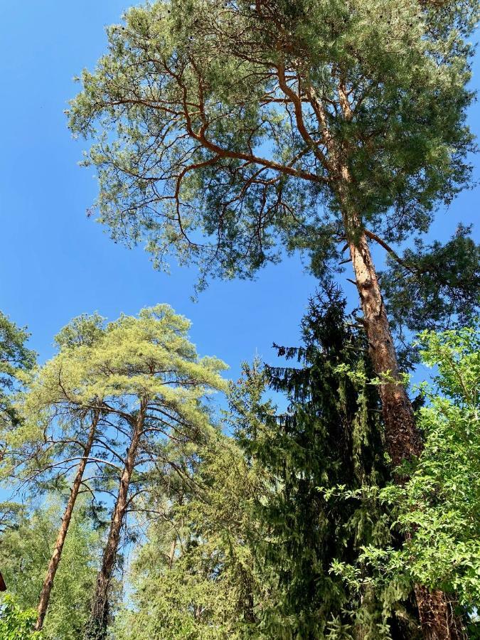 Nadi's Holiday Home – Heart of Woods, Szentendre Island Szigetmonostor Buitenkant foto