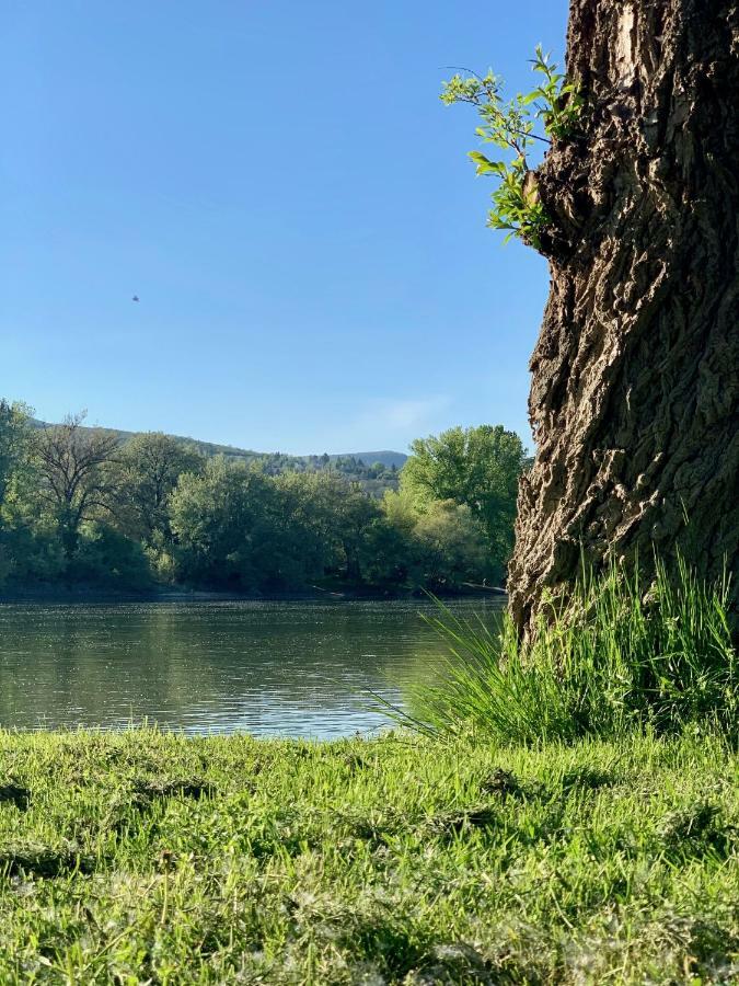 Nadi's Holiday Home – Heart of Woods, Szentendre Island Szigetmonostor Buitenkant foto