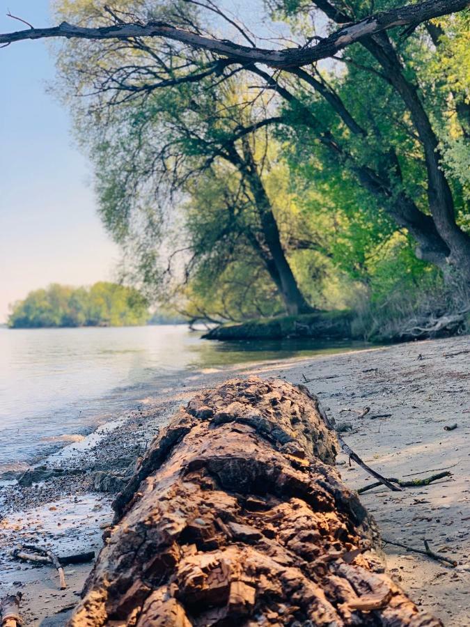 Nadi's Holiday Home – Heart of Woods, Szentendre Island Szigetmonostor Buitenkant foto