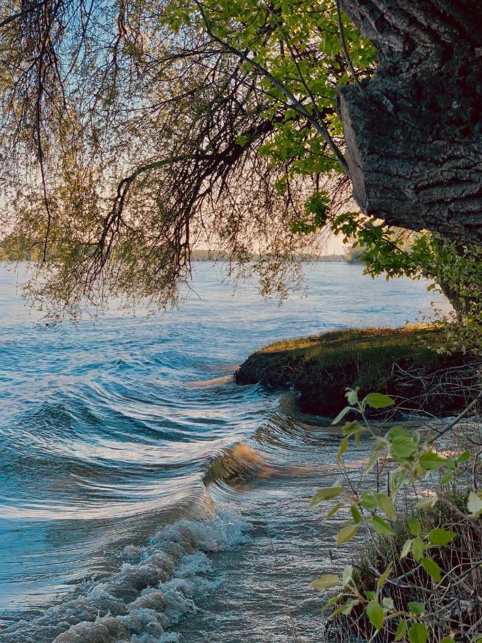 Nadi's Holiday Home – Heart of Woods, Szentendre Island Szigetmonostor Buitenkant foto